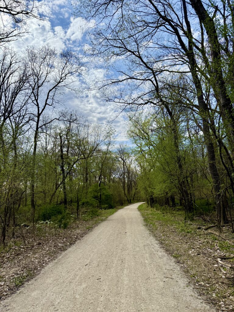 trees cycling america