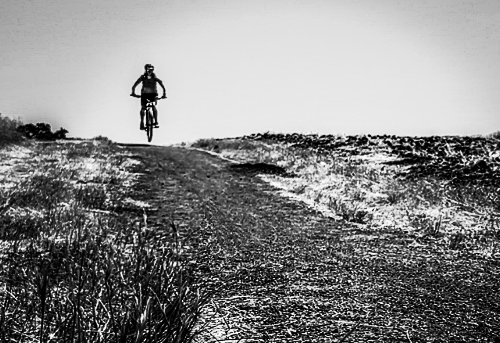 Why Wild Spokes Exists